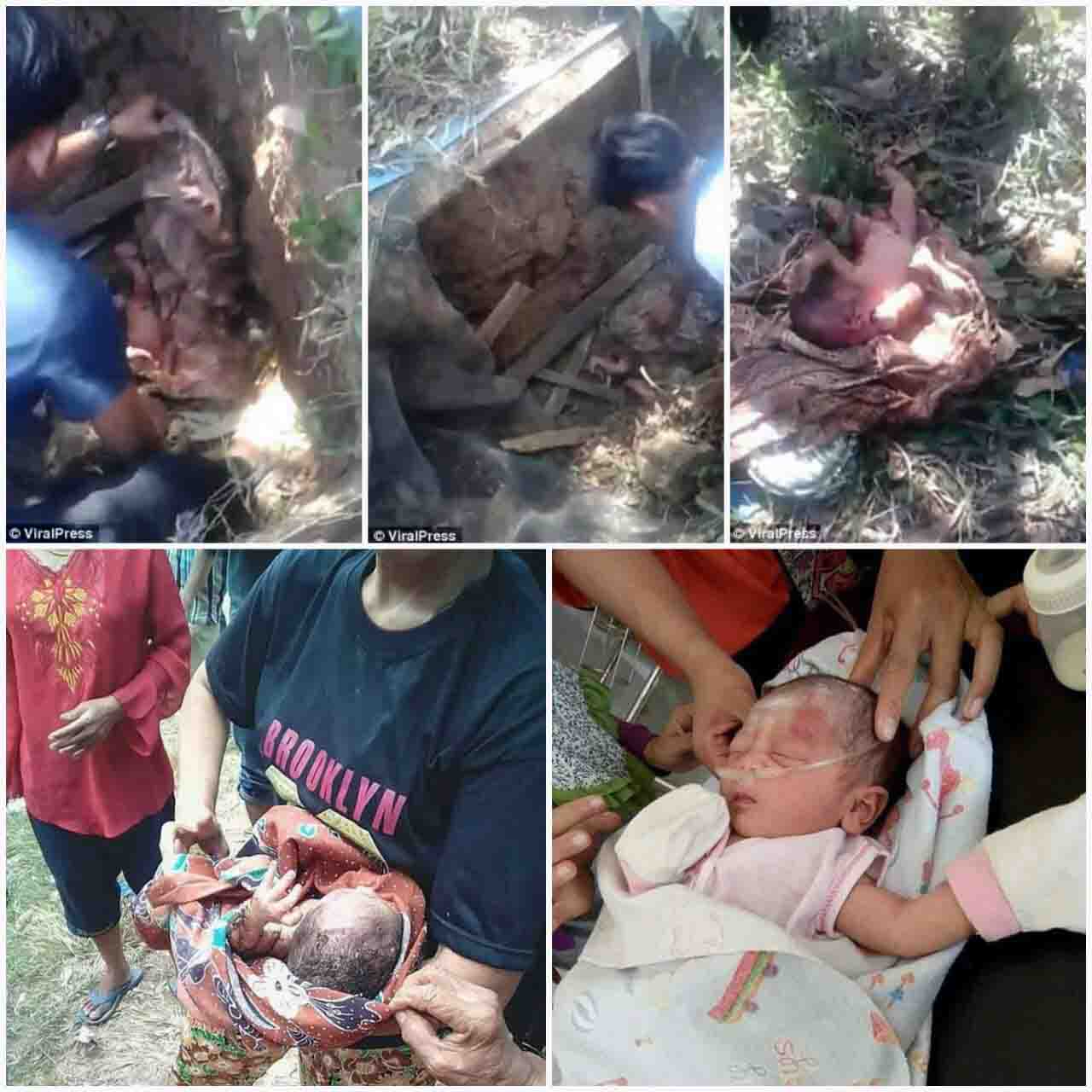 Bayi yang Dibuang di Bekas Septic Tank Berhasil Diselamatkan